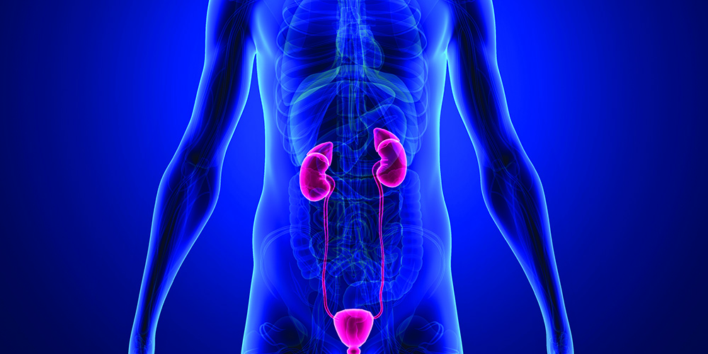 General Health Kidney Stones, Hematuria (Blood in the Urine), Overactive Bladder. Urology Clinics of North Texas
