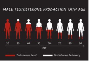 Male testosterone level decrease as you age.