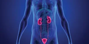 General Health Kidney Stones, Hematuria (Blood in the Urine), Overactive Bladder. Urology Clinics of North Texas