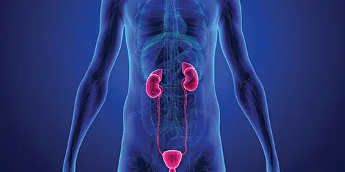 General Health Kidney Stones, Hematuria (Blood in the Urine), Overactive Bladder. Urology Clinics of North Texas