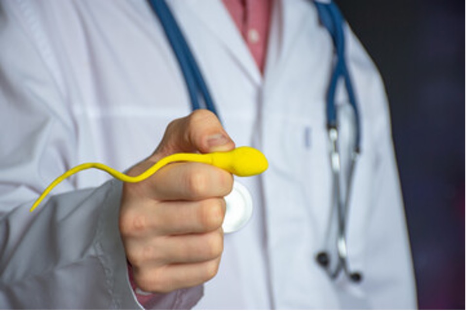 Zoom in shot of doctor holding a plastic representation of what sperm looks like.